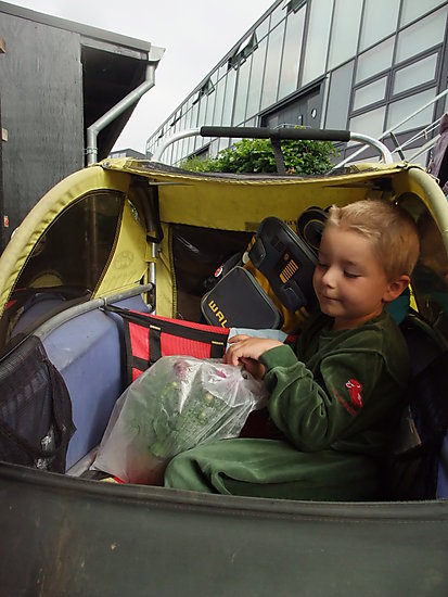 Sigurd blomst cykelvogn