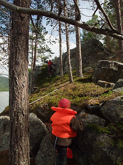Sigurd Frida bestige klippe