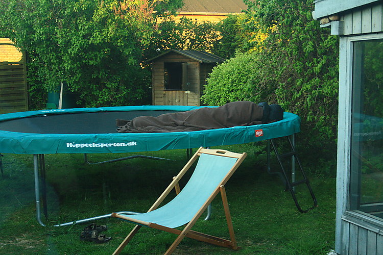 -0554_1_FridaTokeTrampolinSove_TAHanne