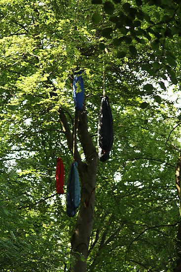 -1513_1_SoveposerITraerne