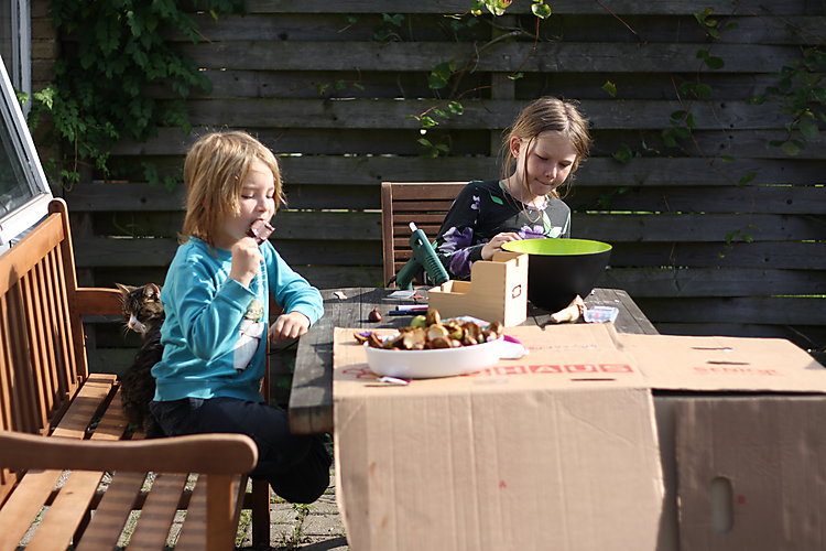 -1227_1_SigurdFridaKastanjer