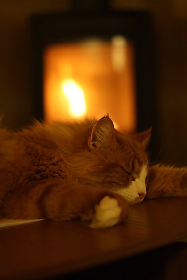 -2103_MonsBraendeovn