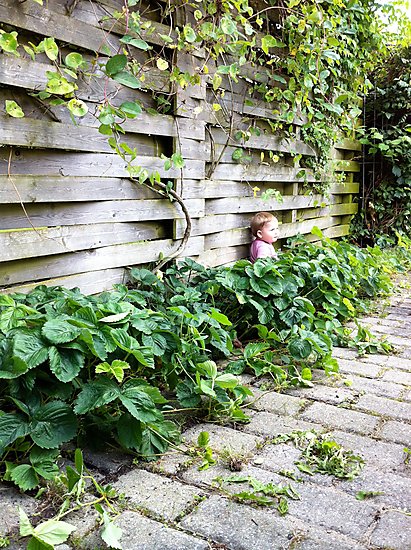 10_AstaJordbaer_TAHanne