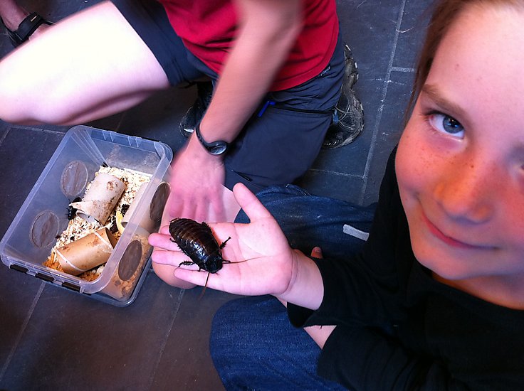 -1410_2_SigurdKakerlak_TAHanne