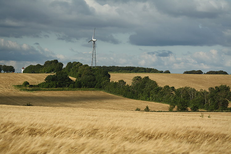 -1732_1_GammelVindmoelleKornmark