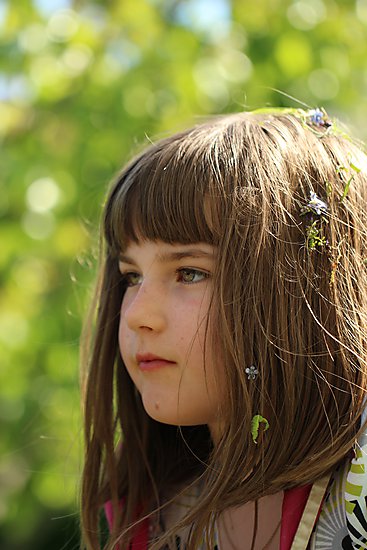 -1539_3_AstaBlomsterIHaaret