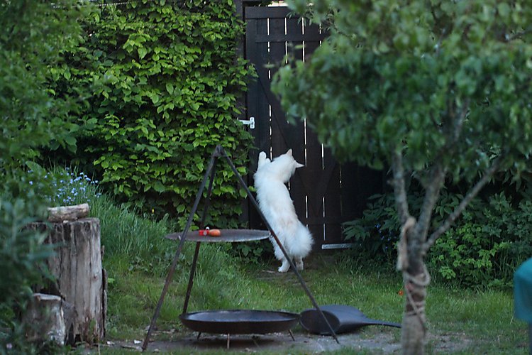 -2202_1_EigilHaveHavelaage