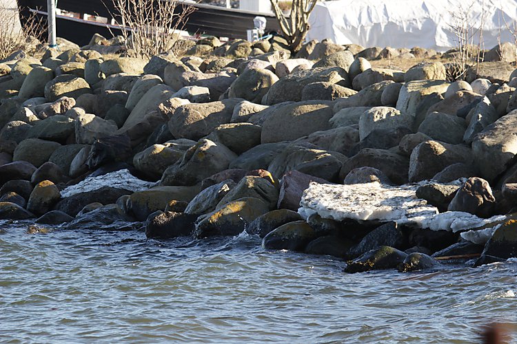 -1517_AarhusTraeskibshavnIs